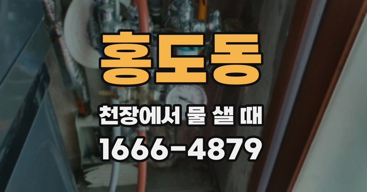 홍도동 천장에서 물 샐 때