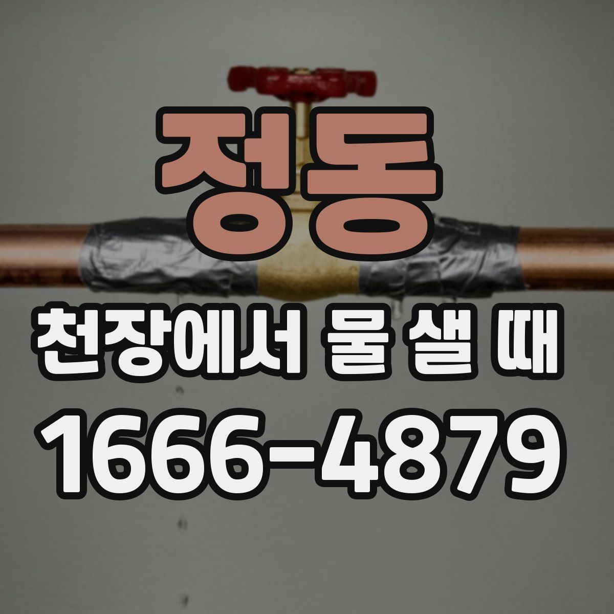 정동 천장에서 물 샐 때