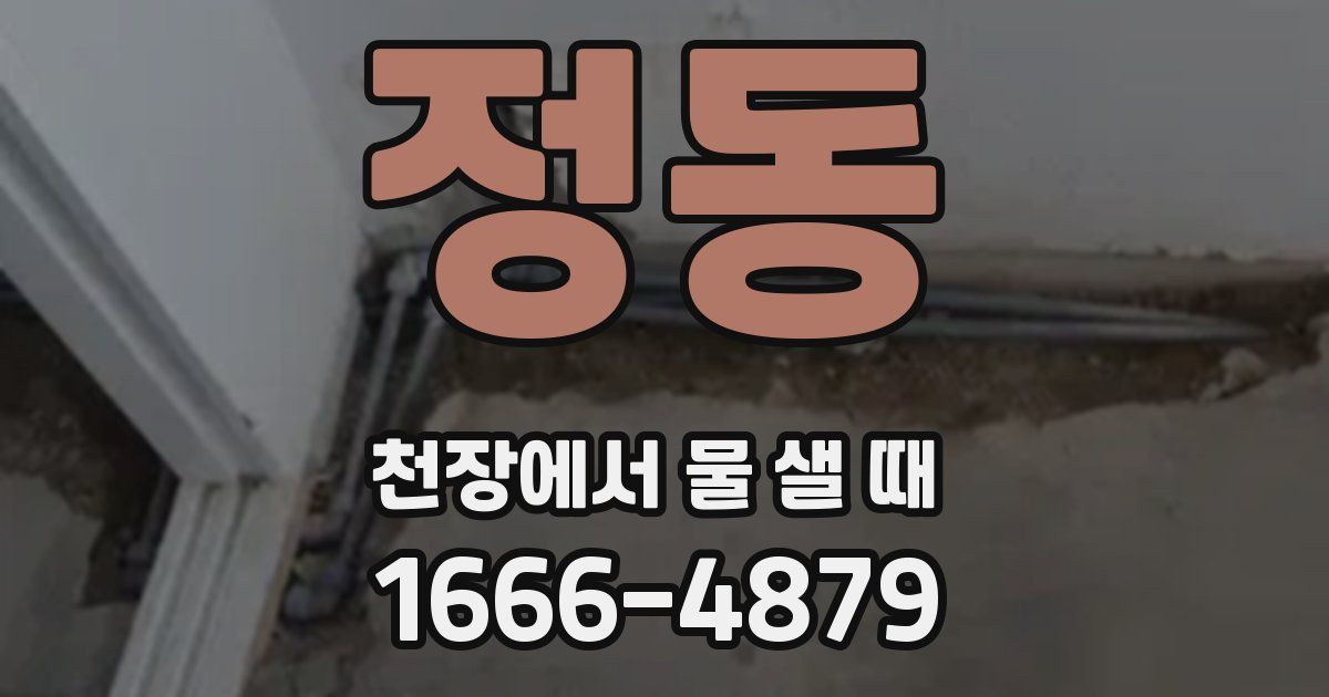 정동 천장에서 물 샐 때
