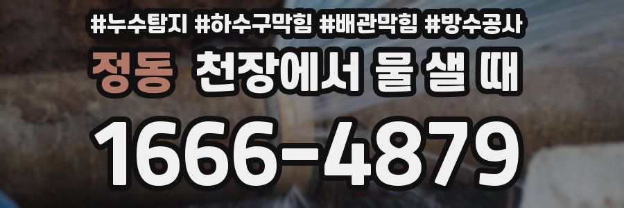 정동 천장에서 물 샐 때