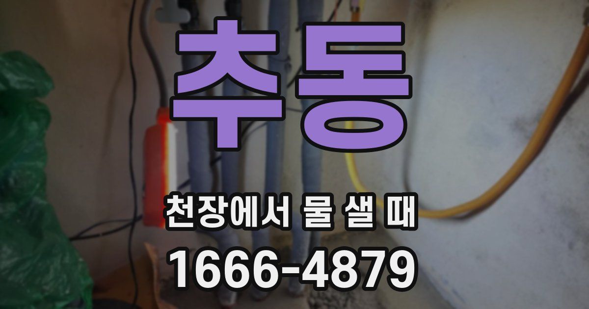 추동 천장에서 물 샐 때