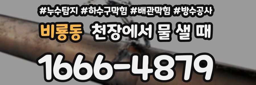 비룡동 천장에서 물 샐 때