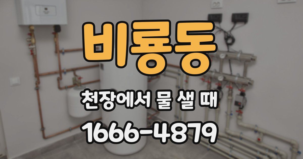 비룡동 천장에서 물 샐 때