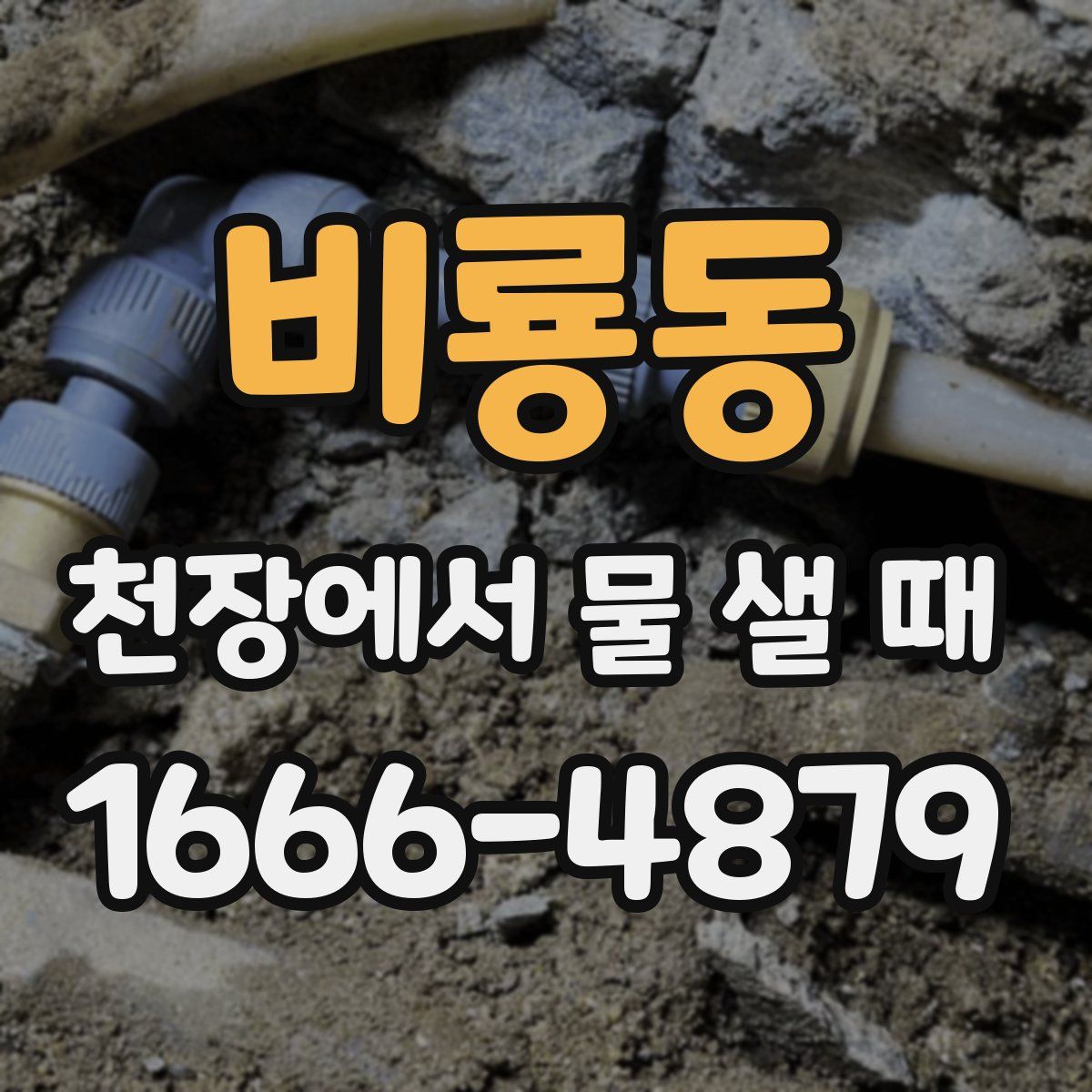 비룡동 천장에서 물 샐 때