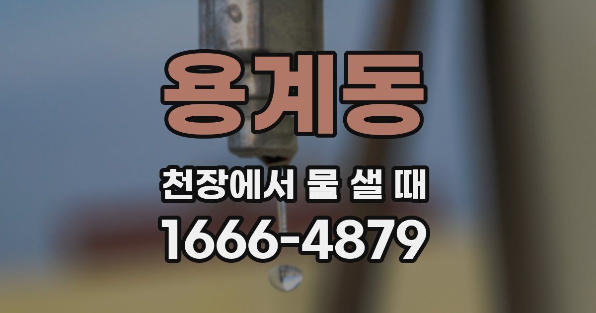 용계동 천장에서 물 샐 때