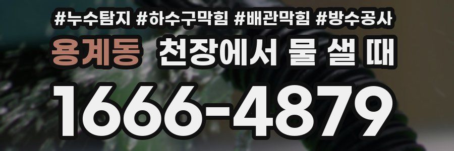 용계동 천장에서 물 샐 때