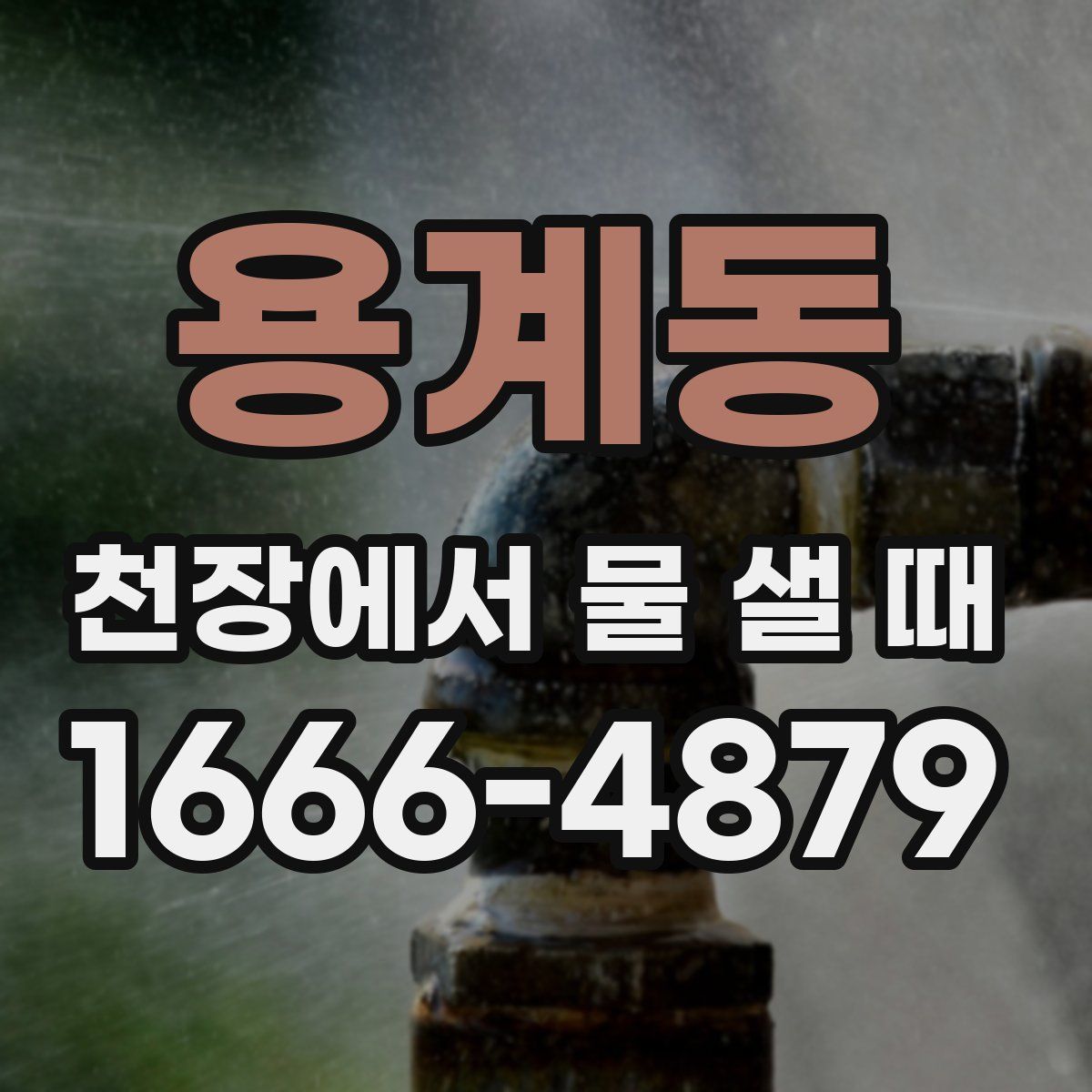 용계동 천장에서 물 샐 때