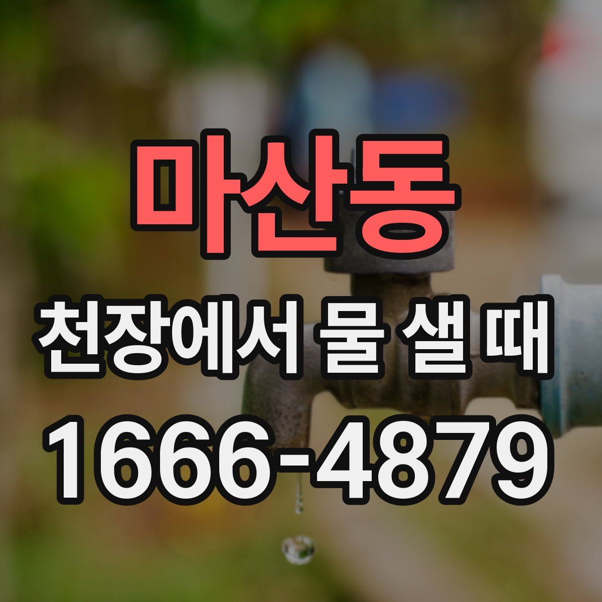 마산동 천장에서 물 샐 때