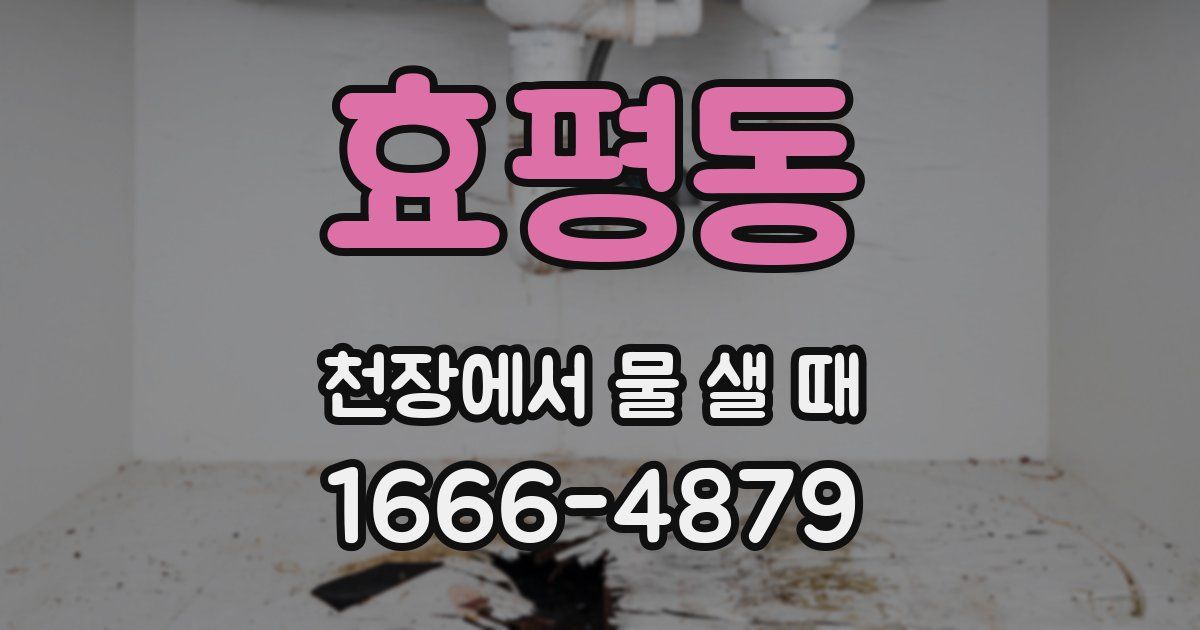 효평동 천장에서 물 샐 때