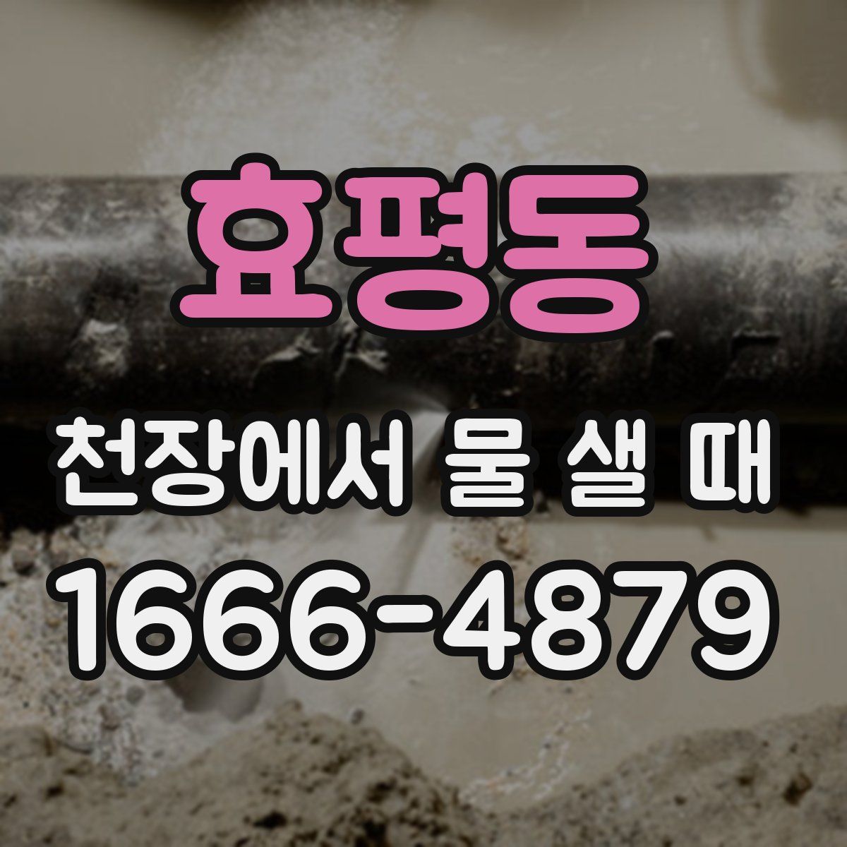 효평동 천장에서 물 샐 때
