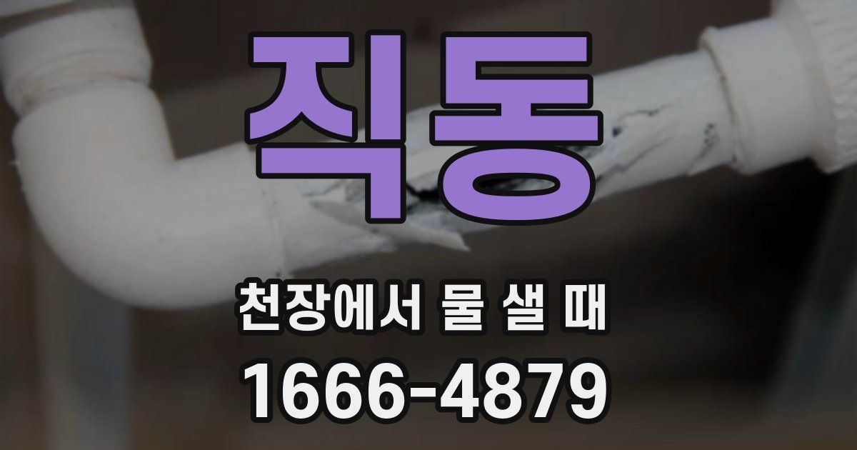 직동 천장에서 물 샐 때