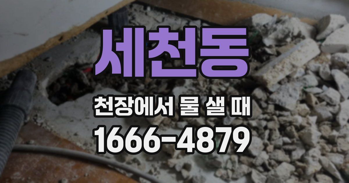 세천동 천장에서 물 샐 때