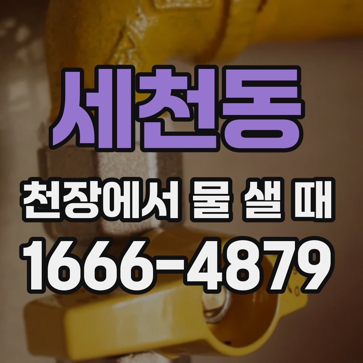 세천동 천장에서 물 샐 때