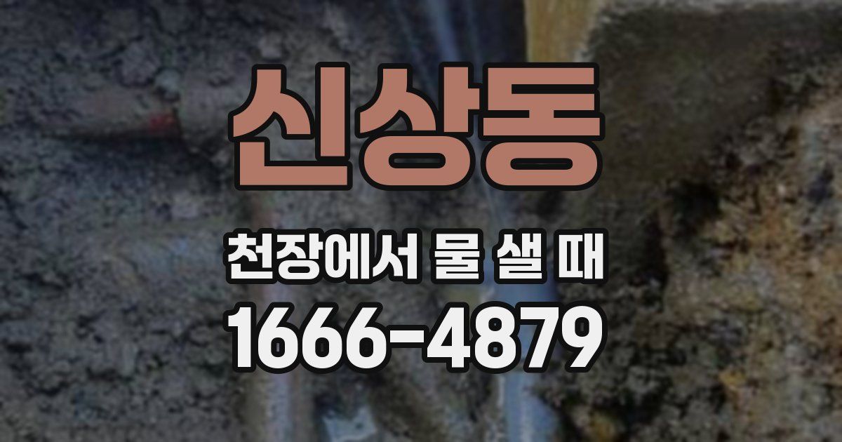 신상동 천장에서 물 샐 때