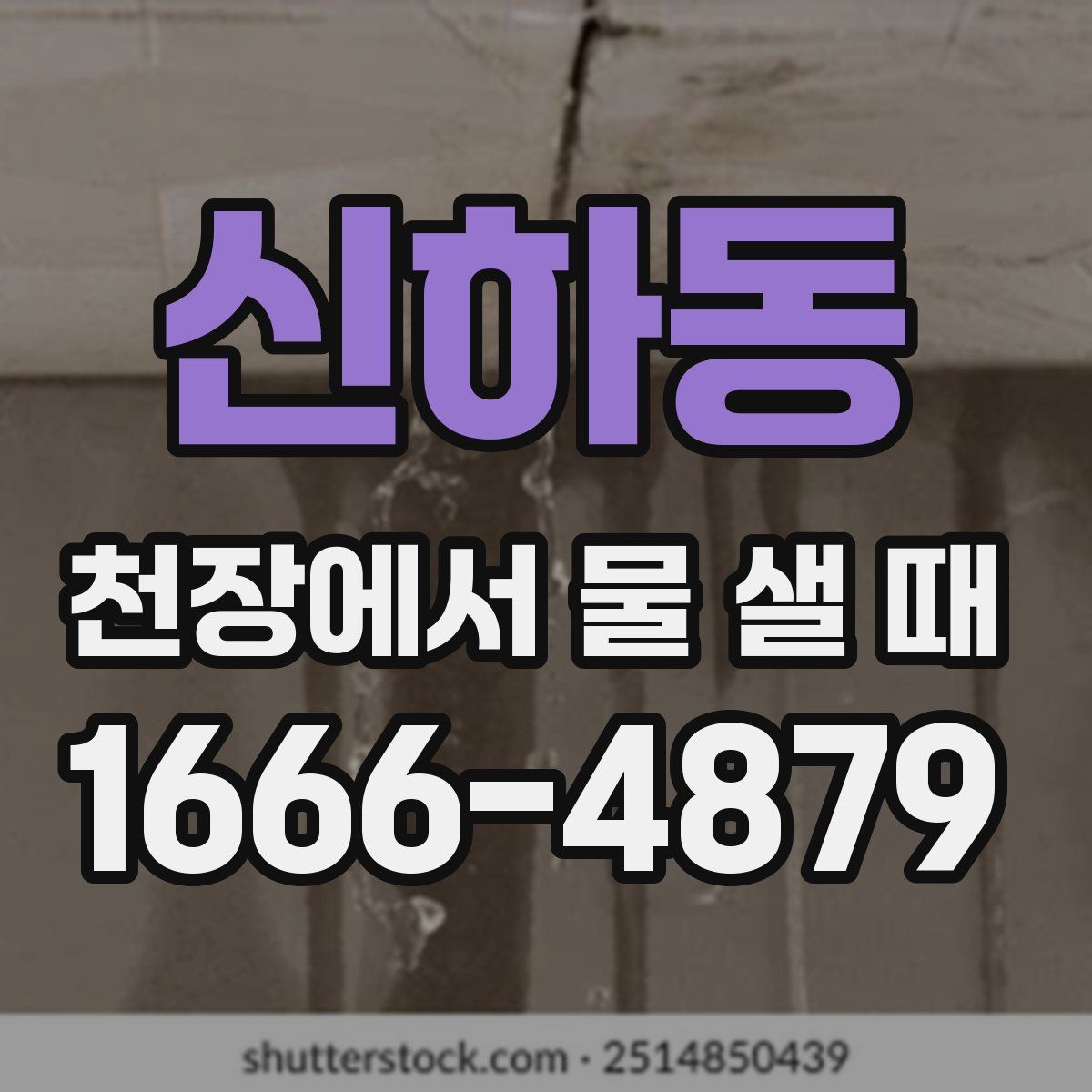 신하동 천장에서 물 샐 때