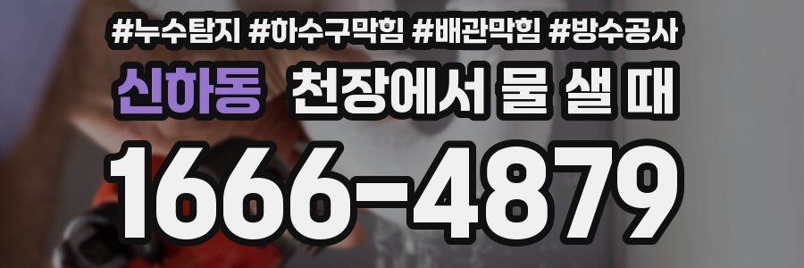 신하동 천장에서 물 샐 때