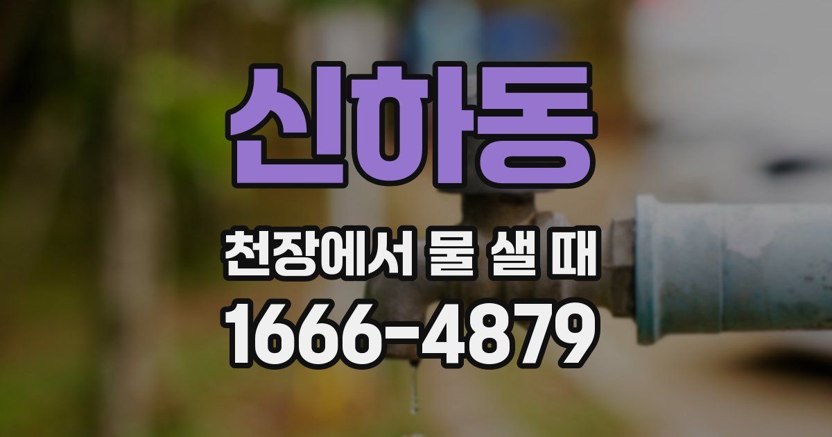 신하동 천장에서 물 샐 때