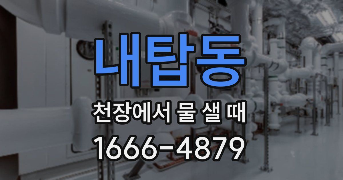 내탑동 천장에서 물 샐 때