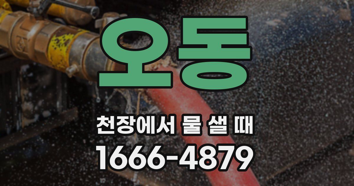 오동 천장에서 물 샐 때