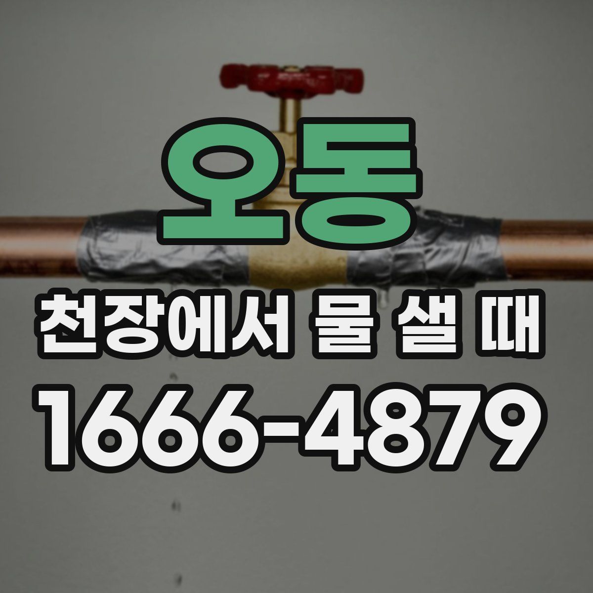 오동 천장에서 물 샐 때