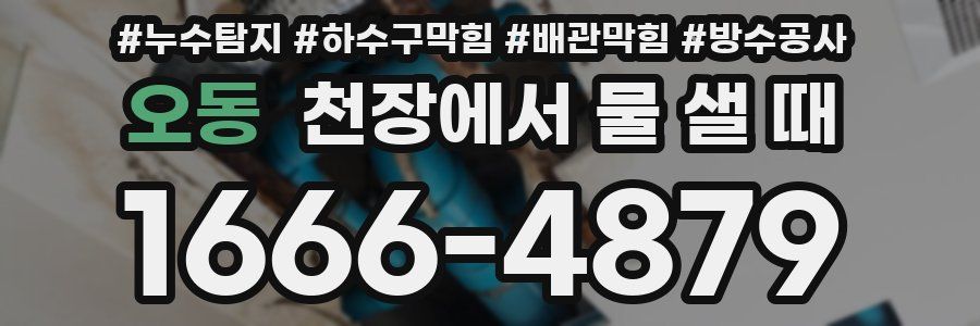 오동 천장에서 물 샐 때