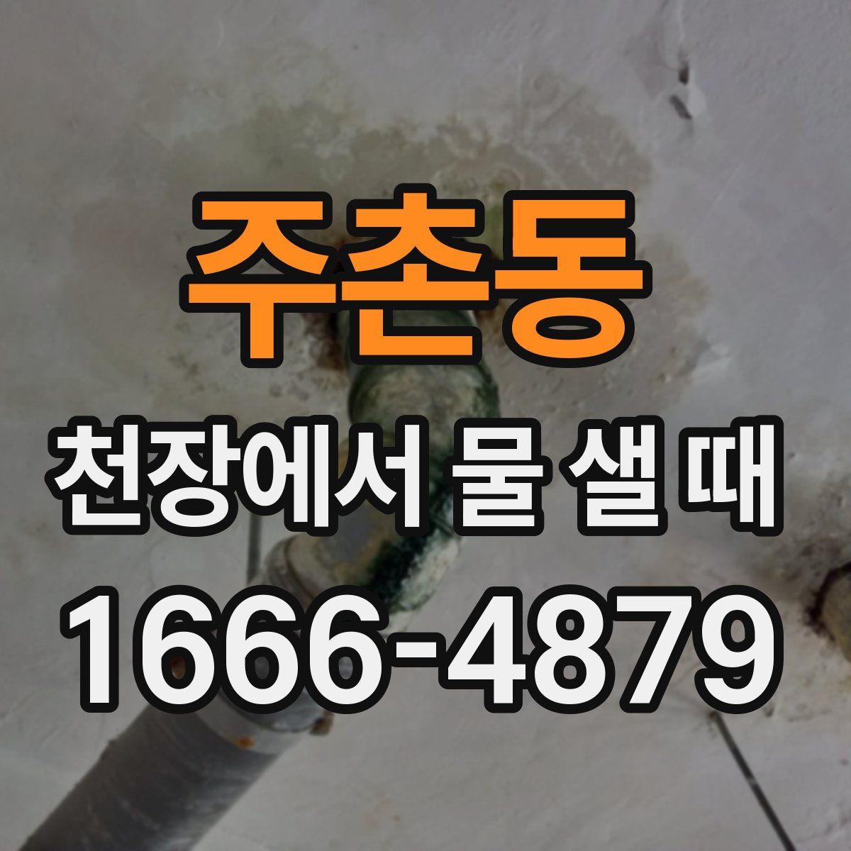 주촌동 천장에서 물 샐 때