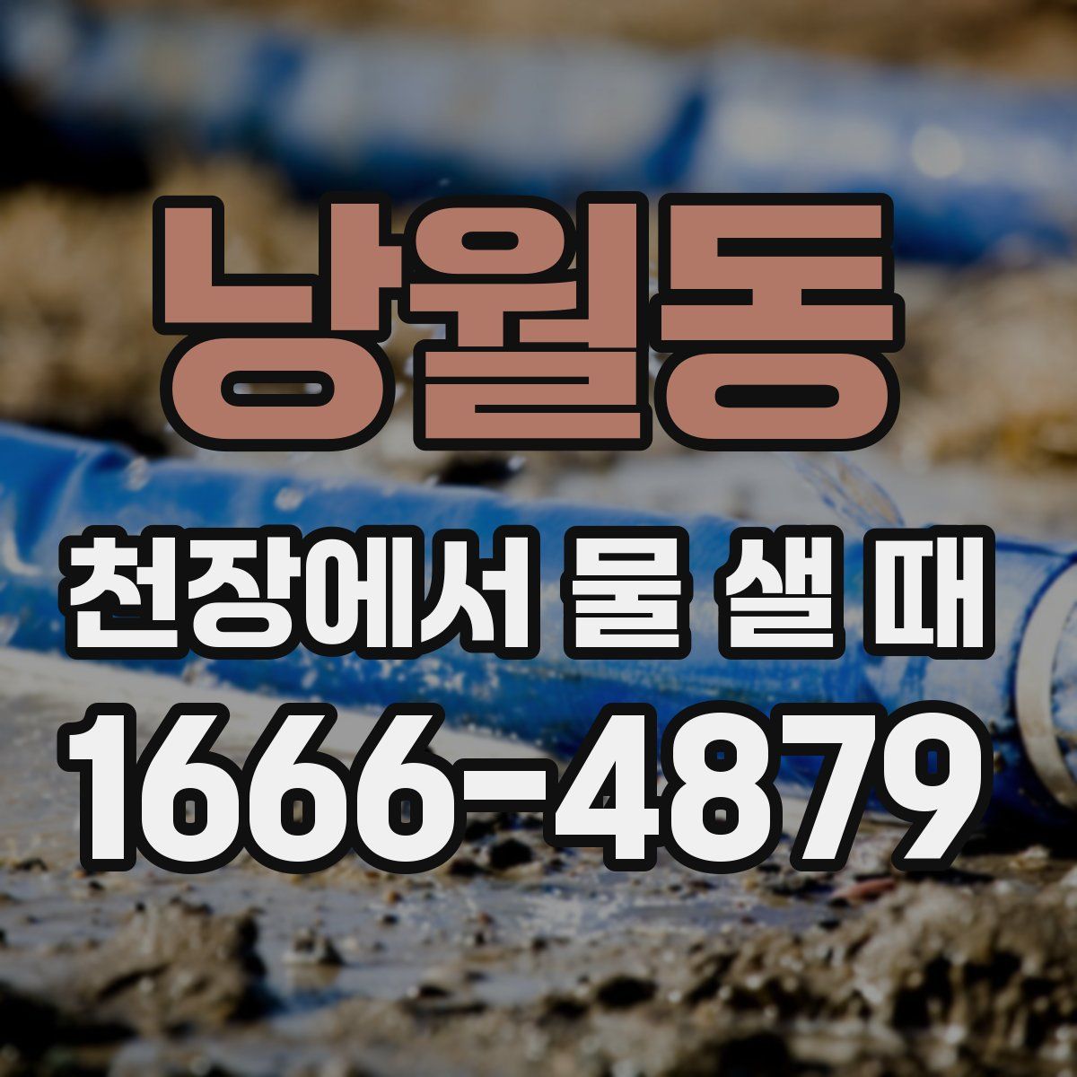낭월동 천장에서 물 샐 때