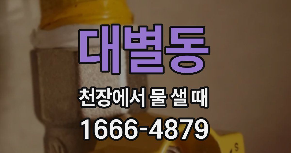 대별동 천장에서 물 샐 때