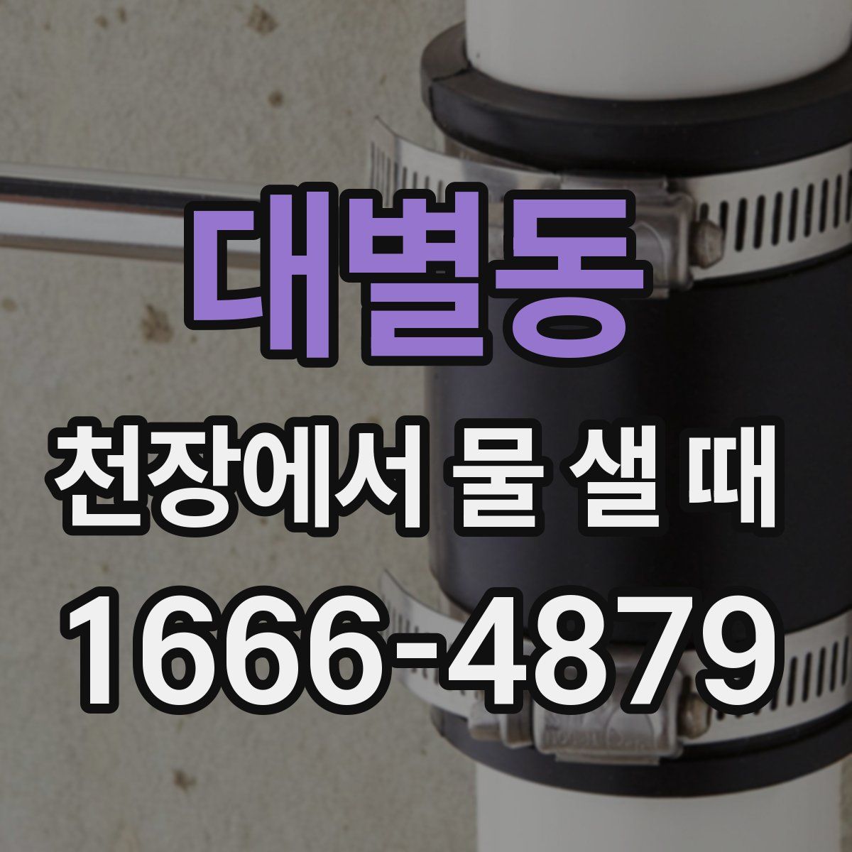 대별동 천장에서 물 샐 때