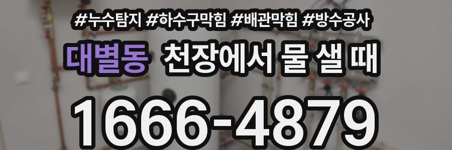 대별동 천장에서 물 샐 때
