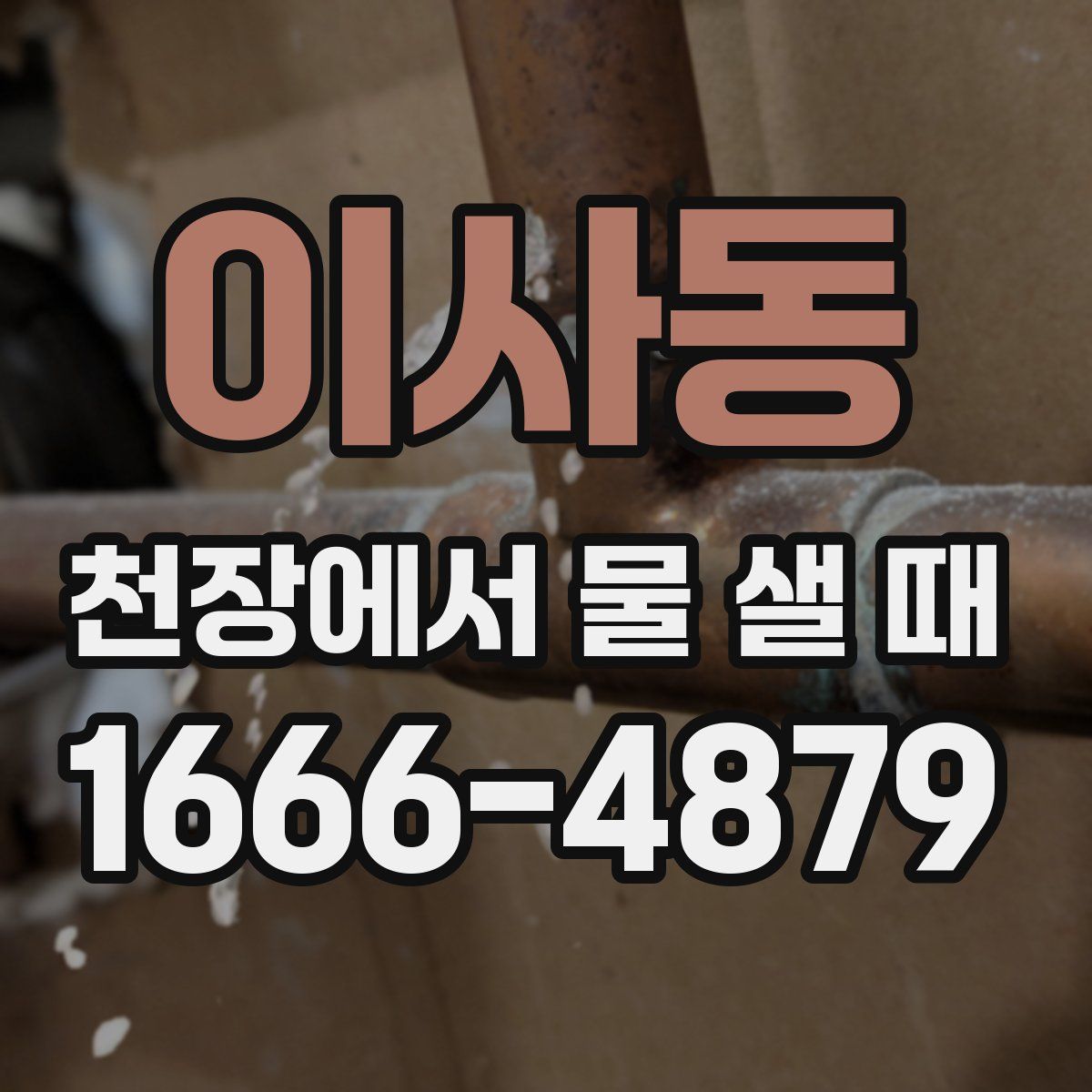 이사동 천장에서 물 샐 때