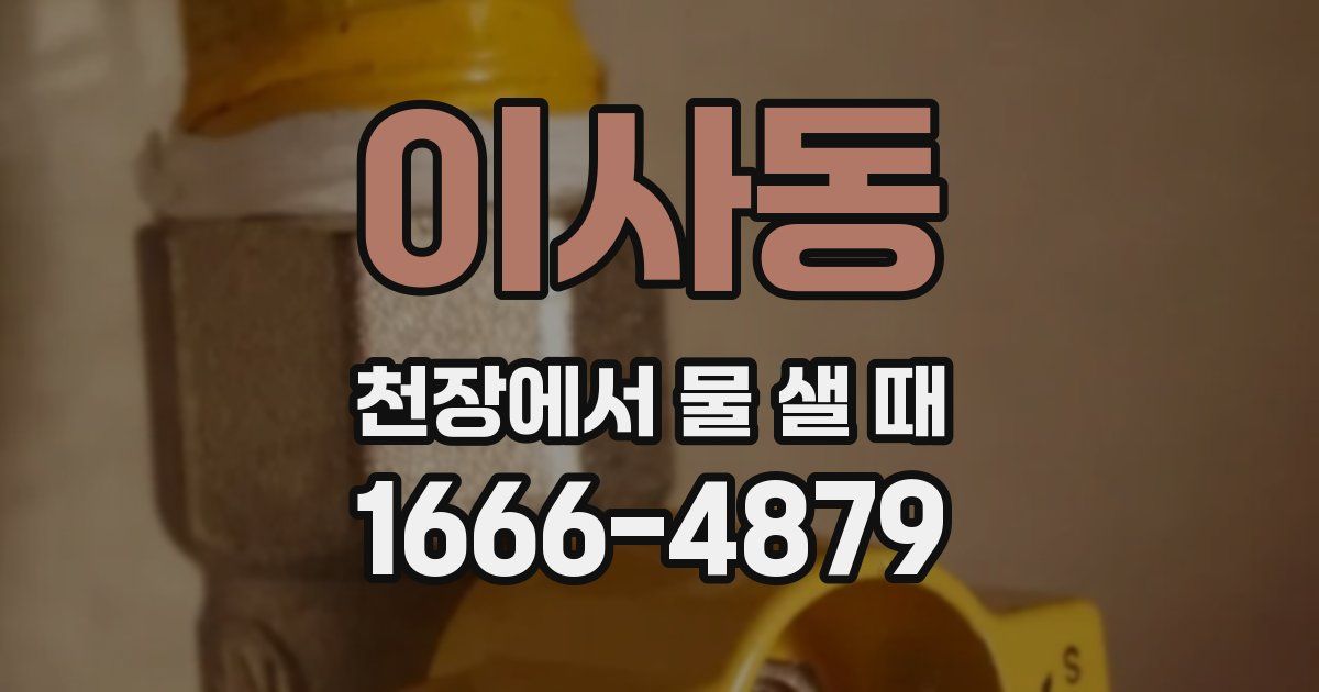 이사동 천장에서 물 샐 때