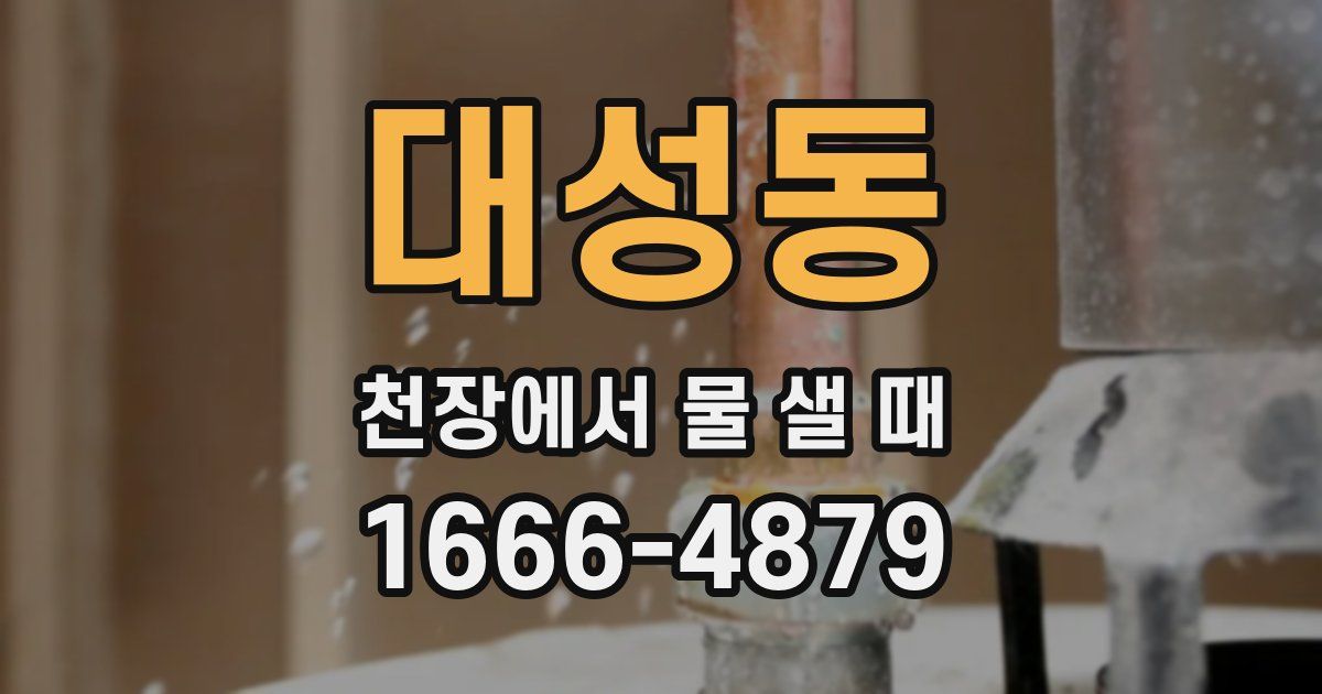 대성동 천장에서 물 샐 때
