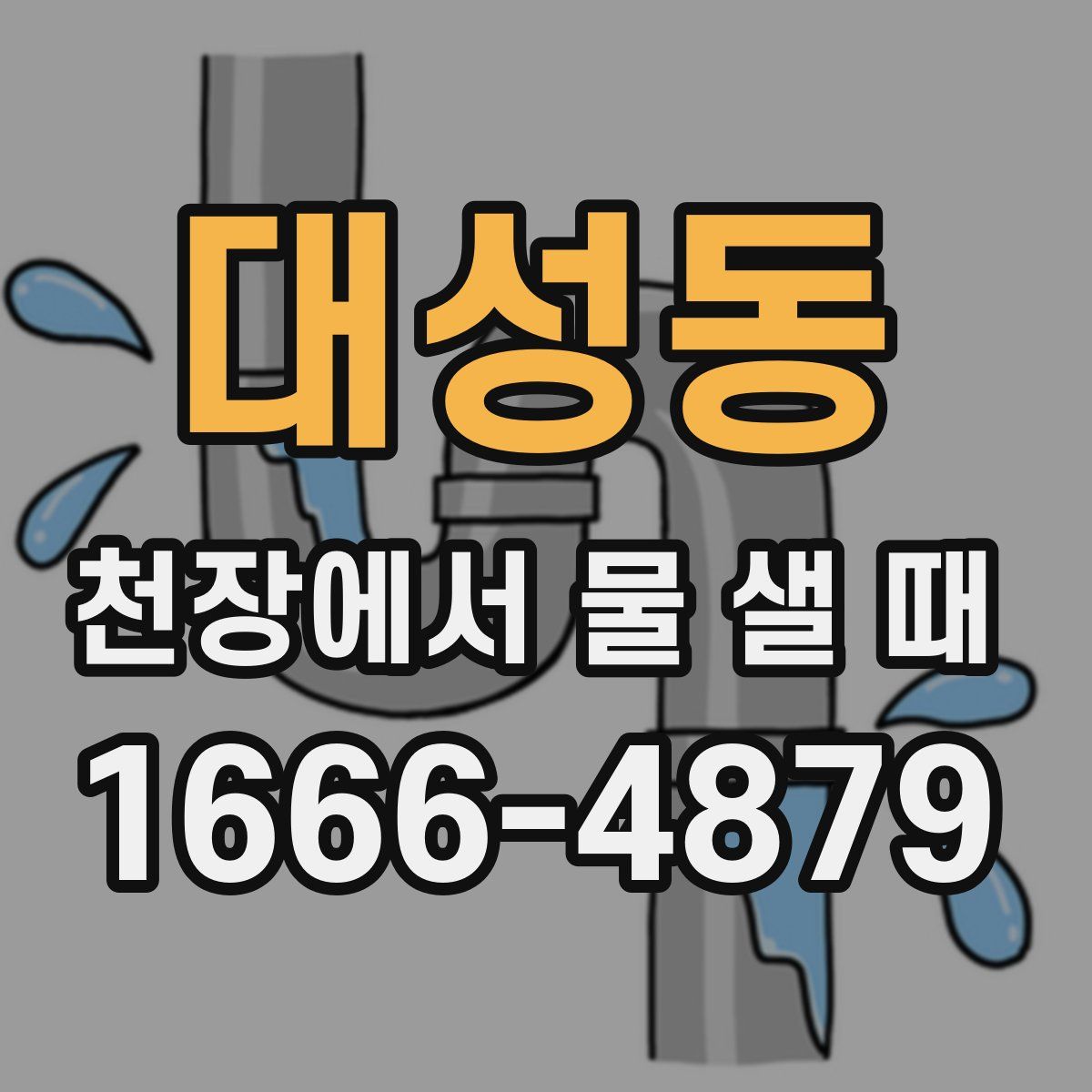 대성동 천장에서 물 샐 때