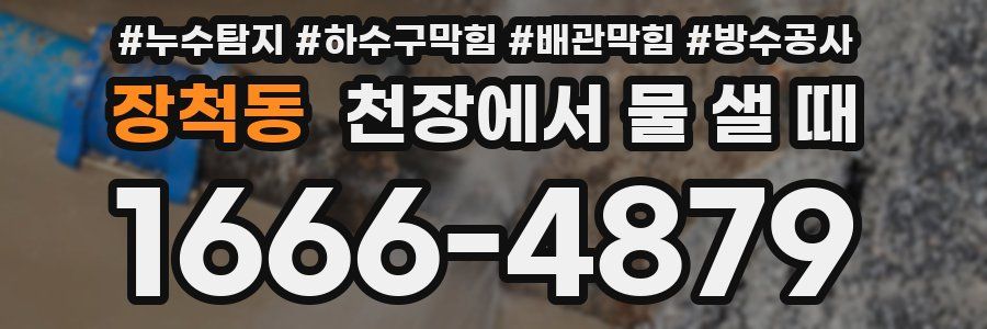 장척동 천장에서 물 샐 때