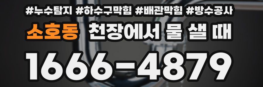 소호동 천장에서 물 샐 때