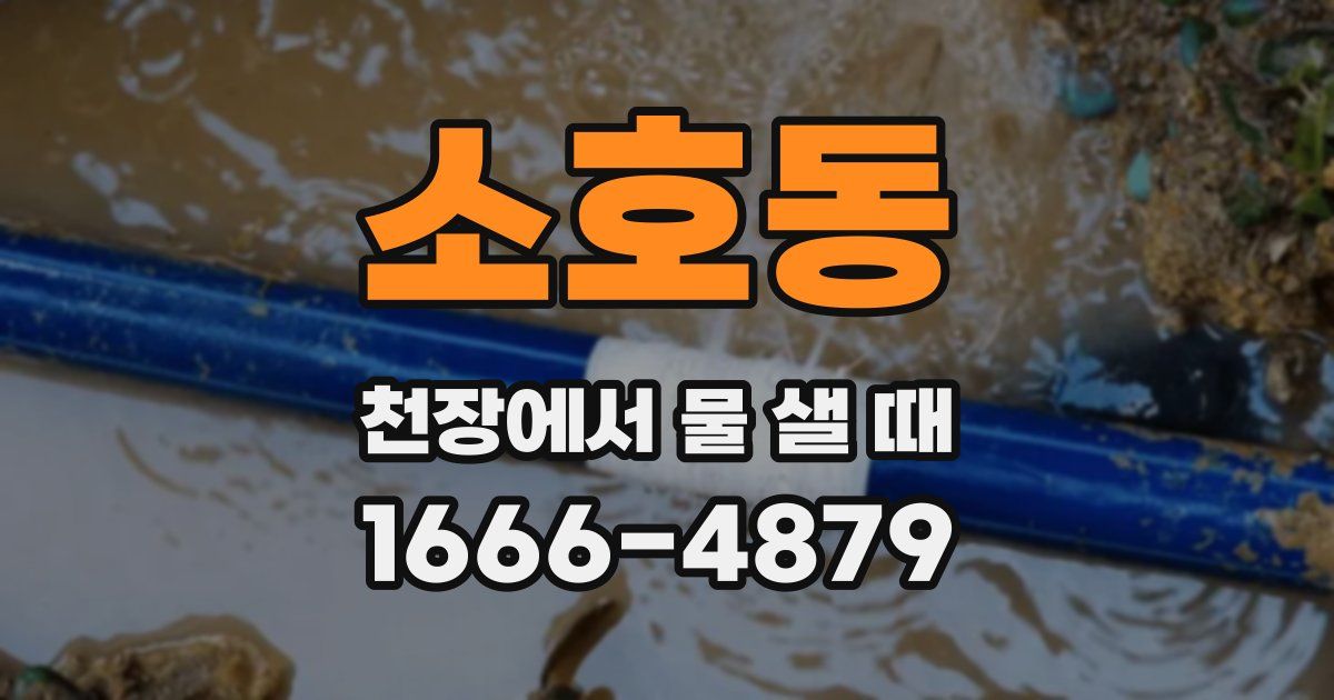소호동 천장에서 물 샐 때