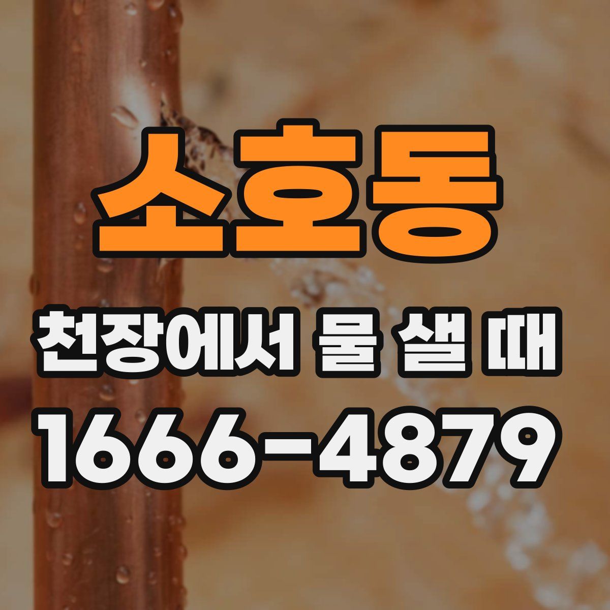 소호동 천장에서 물 샐 때