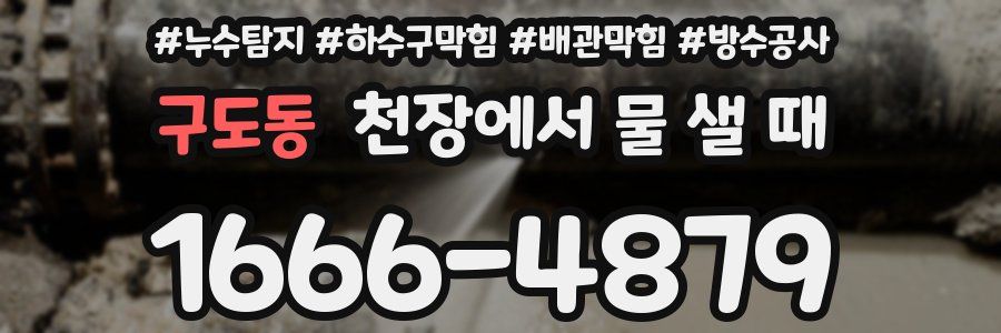 구도동 천장에서 물 샐 때