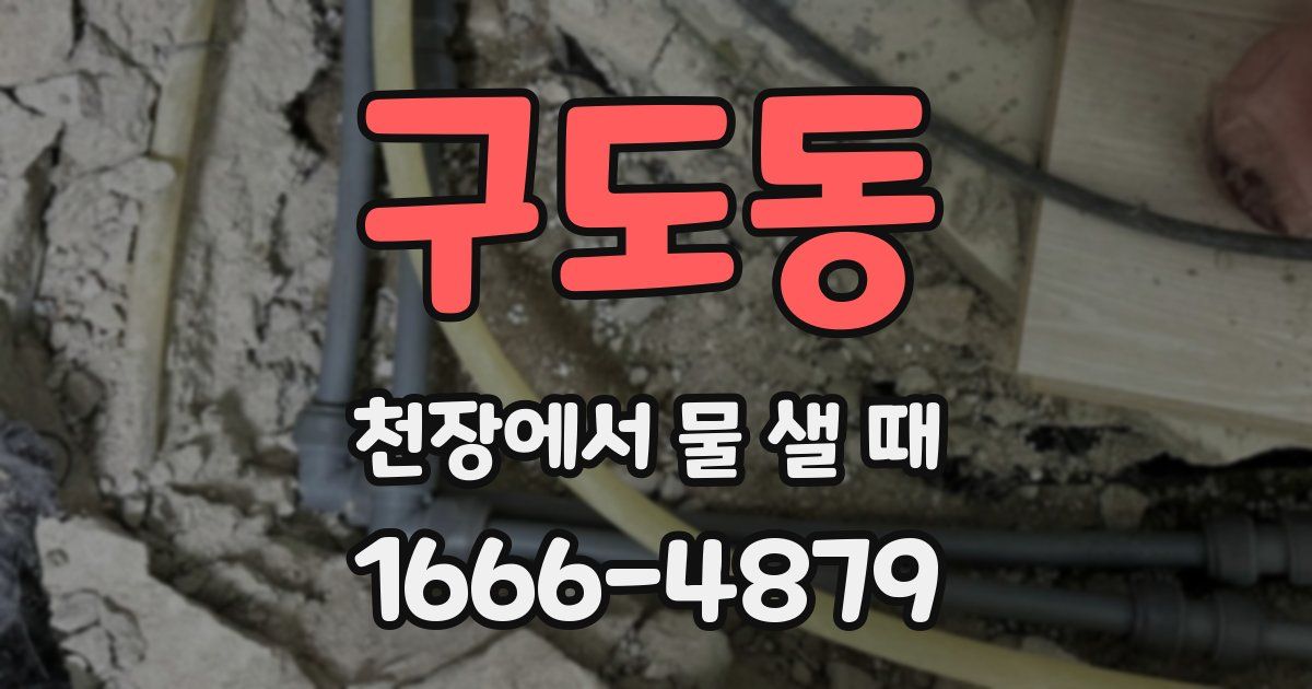 구도동 천장에서 물 샐 때