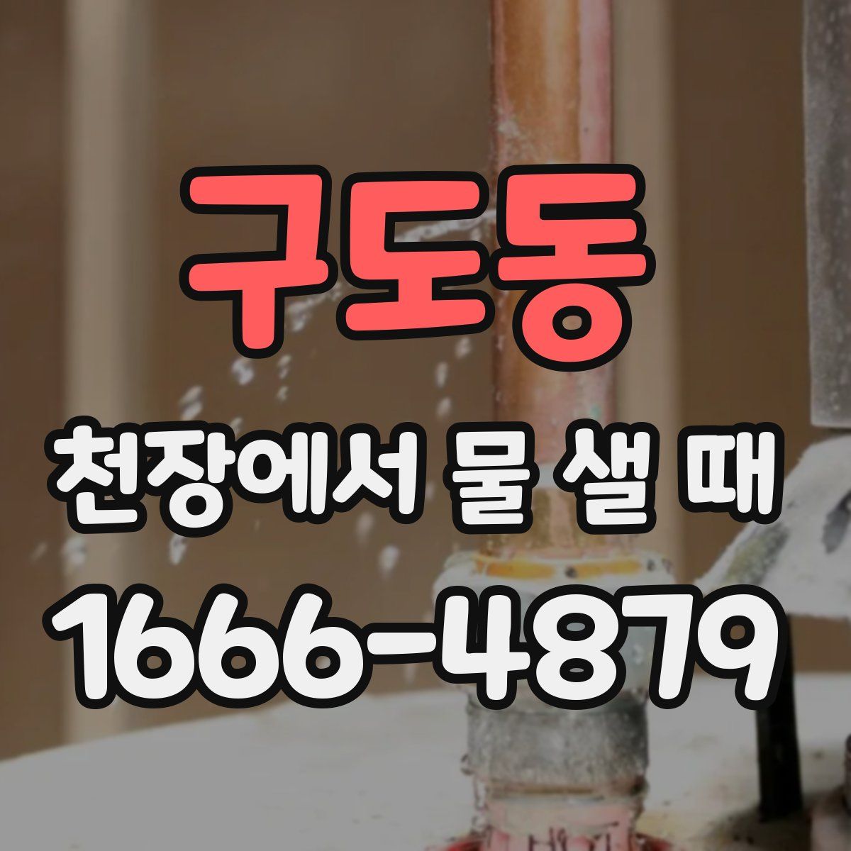 구도동 천장에서 물 샐 때