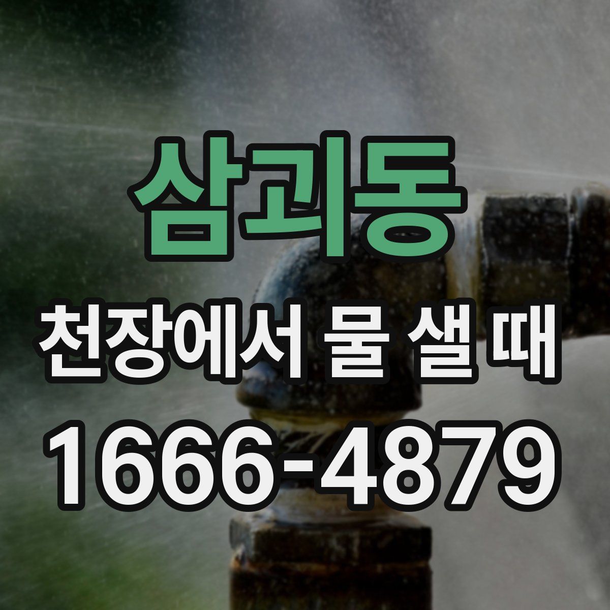 삼괴동 천장에서 물 샐 때