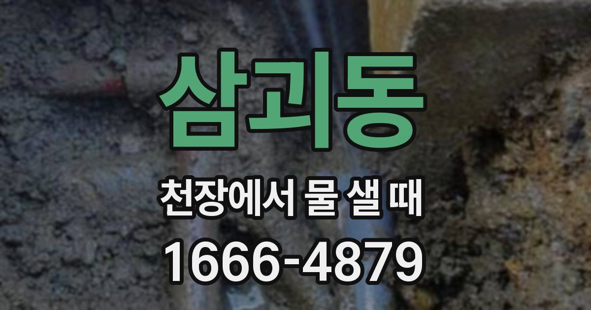 삼괴동 천장에서 물 샐 때