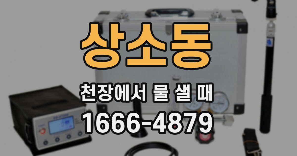 상소동 천장에서 물 샐 때