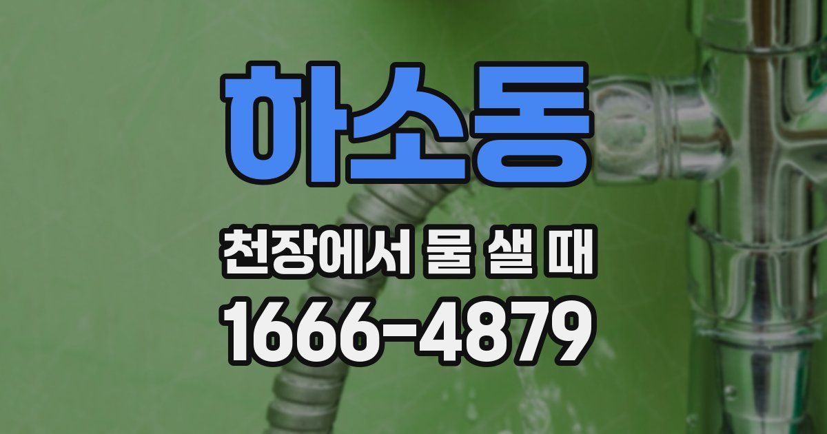 하소동 천장에서 물 샐 때