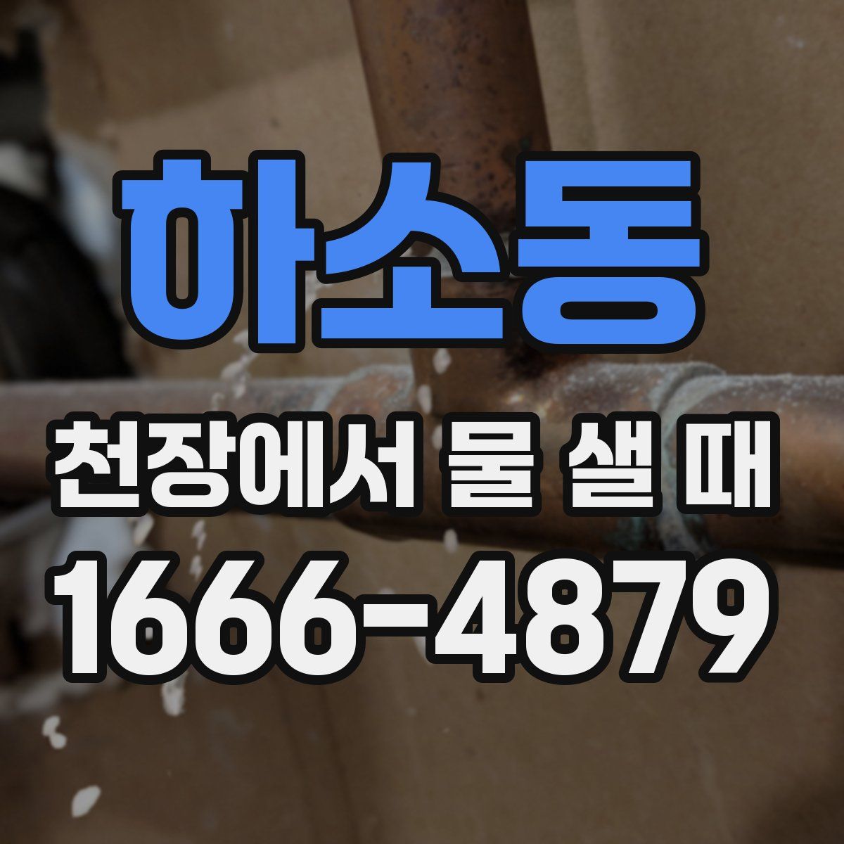 하소동 천장에서 물 샐 때