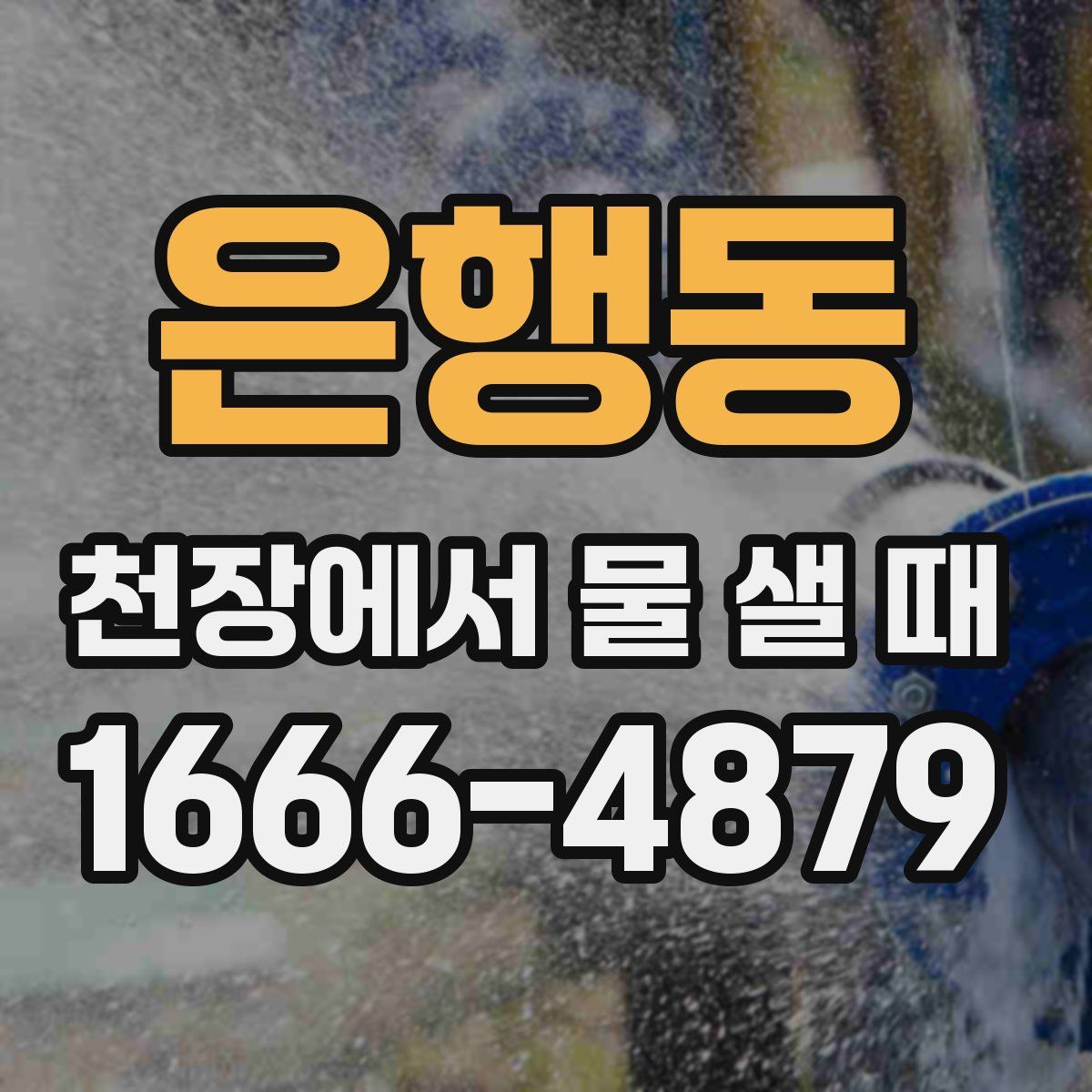 은행동 천장에서 물 샐 때