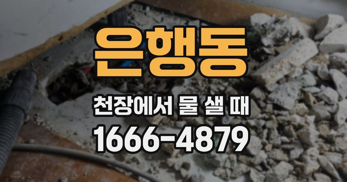 은행동 천장에서 물 샐 때
