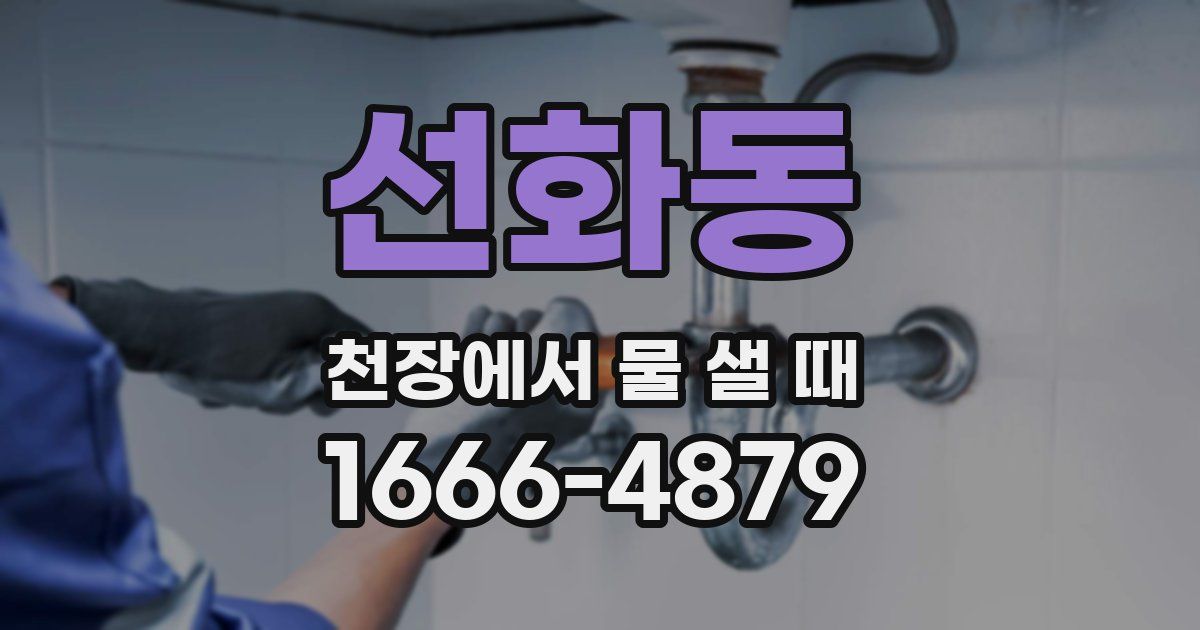선화동 천장에서 물 샐 때