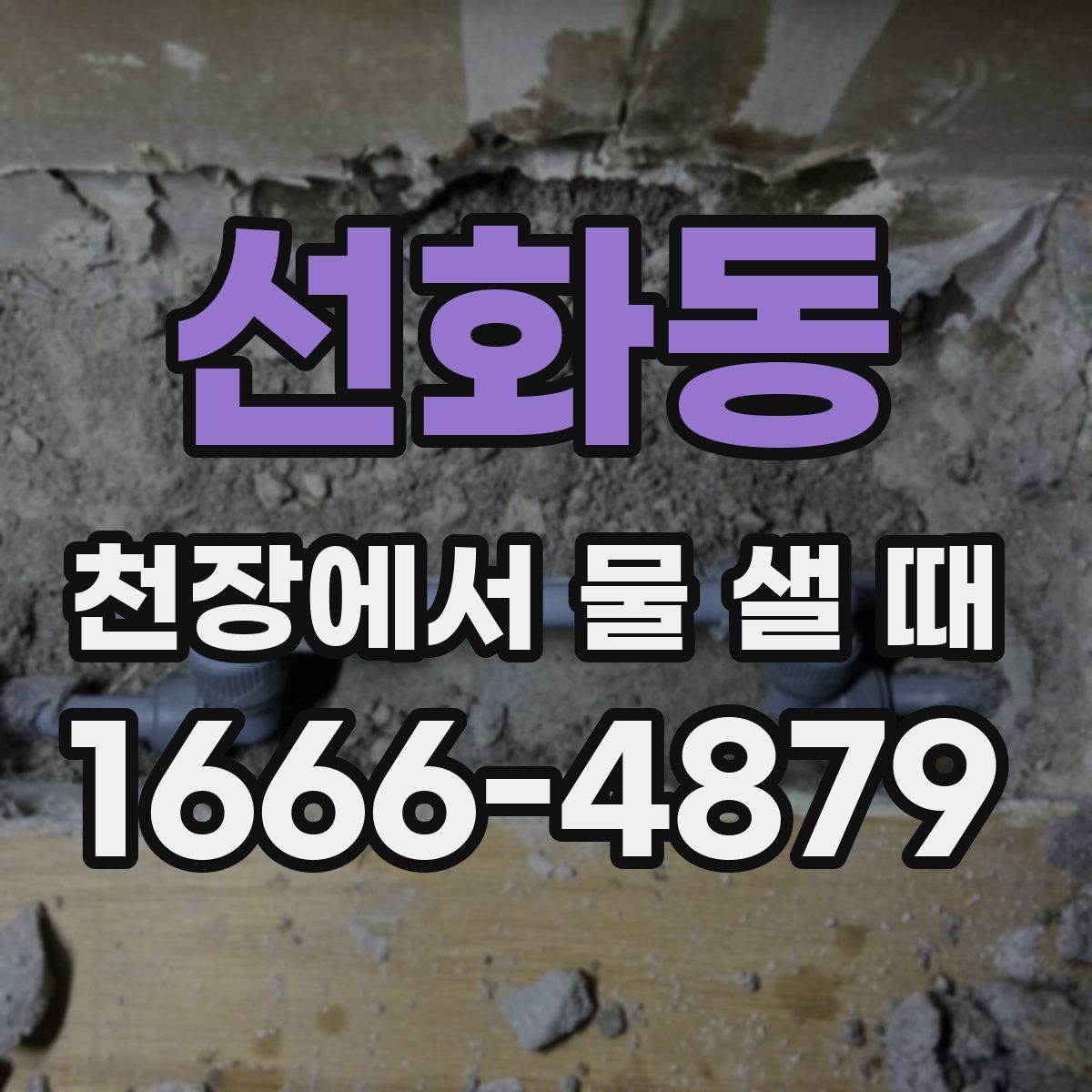 선화동 천장에서 물 샐 때